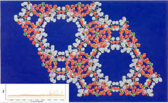 2014��߿���W���W���T����I��W���������ϿƌW�c����