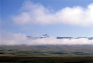 2014��߿���W���W���T����I��W���������ƌW�