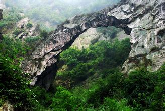 2014��߿���W���W���T����I��W���������|�YԴ�c���|����