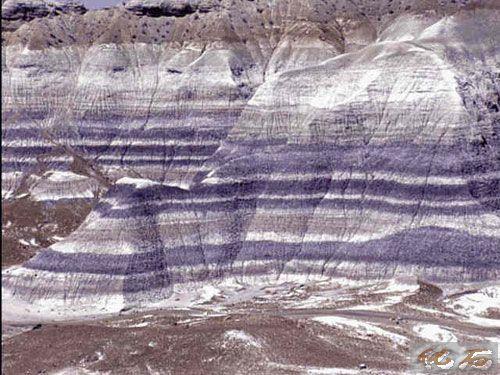 2014��߿���W���W���T����I��W���������|�W�