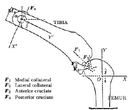 2014��߿���W���W���T����I��W���������W�