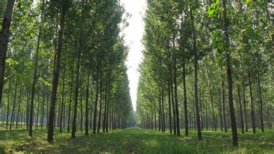 2014��߿���W���W���T����I��W�������֌W�