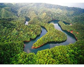 2014��߿���W���W���T����I��W�������֘I����