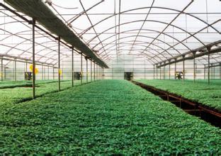 2014��߿���W���W���T����I��W�������r�ֽ��������