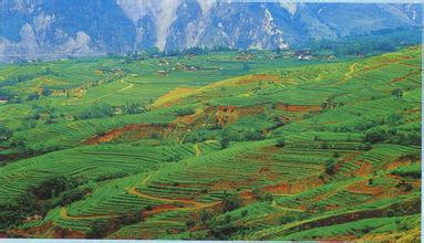 2014��߿���W���W���T����I��W�������r�I�YԴ�c�h��