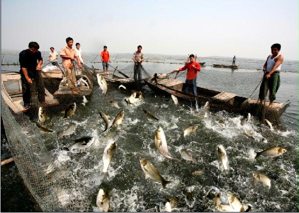 2014��߿���W���W���T����I��W������ˮ�a�W�