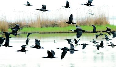 2014��߿���W���W���T����I��W���������B�W�