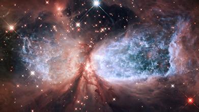 2014��߿���W���W���T����I��W���������ČW�