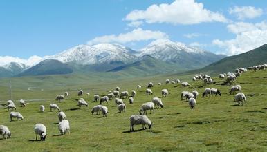 2014��߿���W���W���T����I��W�����������W�