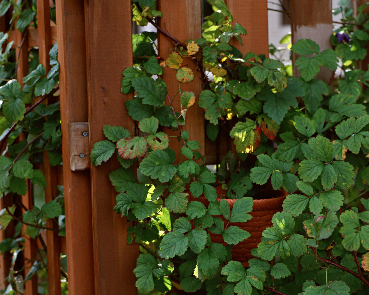 2014��߿���W���W���T����I��W�������@ˇ�W